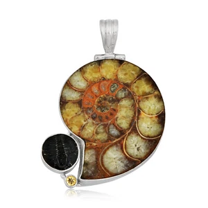 Sterling Silver Ammonite, Citrine and Trilobite jewelry Pendant/ Halloween - Picture 1 of 4