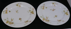 2 VINTAGE HAVILAND FRANZÖSISCHE LIMOGES PORZELLAN SPEISETELLER, HERBSTBLATT, MEHRERE - Bild 1 von 5