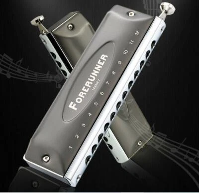 EASTTOP Harmonica Music Instrument Key of C 12Hole Chromatic Harmonica US Stock  - Image 1 of 4