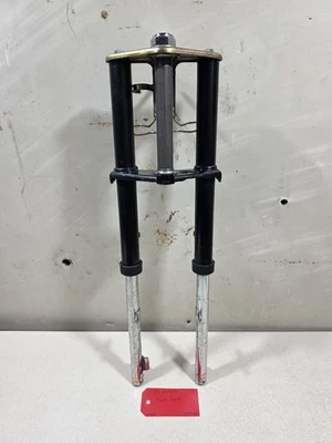 Honda Urban Express Deluxe 1983 NU50M horquillas delanteras suspensión #625,4-66 Foto 1 de 4