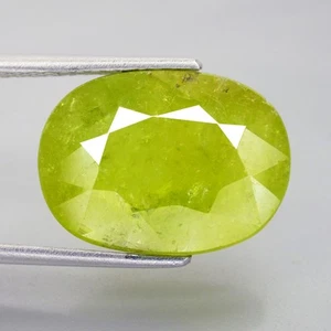 15,62 ct Fröhlicher Oval (17 x 12 mm) Natürlicher Unbeheizter Grossular Mali Granat Edelstein - Bild 1 von 6
