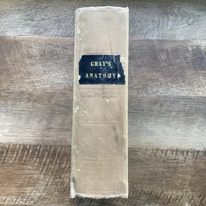 Gray's Anatomy Descriptive And Surgical 11th Edition 1887 - Picture 1 of 20