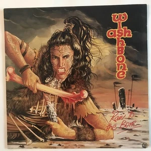 Wishbone Ash “Raw To The Bone” 1986 LP NEAT 1027 12” 33rpm Vinyl 🇬🇧 UK - Picture 1 of 10