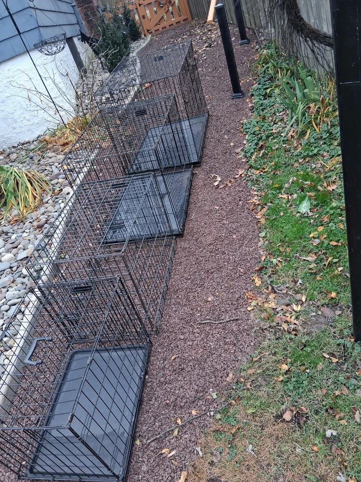 4 jaulas plegables para perros de diferentes tamaños Foto 1 de 4