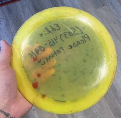 Innova World Record 1108' Champion Boss, 167 Gs, Used With Lots Of Life, 8/10 - Image 1 of 4
