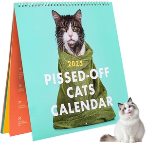 Lustiger Katzenkalender 2025, Verärgerter Katzen Kalender 2025 Desktop Dekoratio - Bild 1 von 7