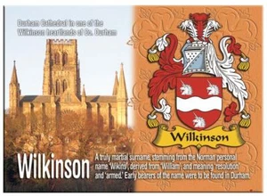 Imán metálico de recuerdo de apellido familiar inglés Wilkinson - Imagen 1 de 2