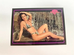 Raquel Gardner Bench Warmer 1994 Card # 193 - Picture 1 of 2