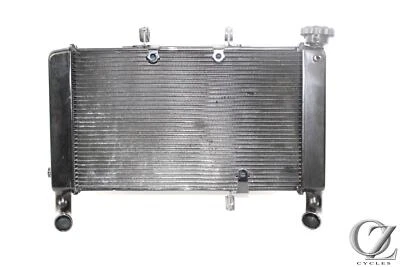 14-16 HONDA CBR650 CBR650F Radiator — 第 1/4 张图片
