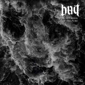 Bait Revelation of the Pure (Vinyl) 12" Album - Picture 1 of 1
