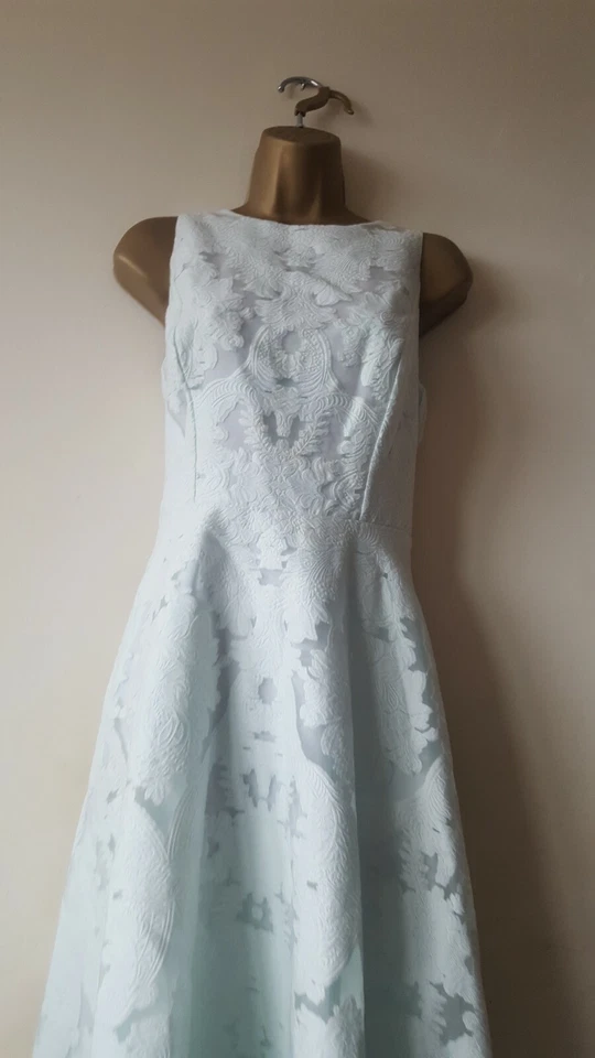 TED BAKER ✩ STUNNING ROSHI  JACQUARD LACE BURNOUT DRESS 2/10 - Image 1 of 4