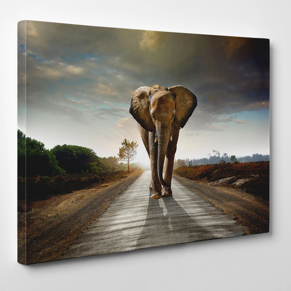 Elephant on the Road - Framed Canvas Art Print - Animal Walking Path - Image 1 of 1