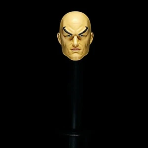 Marvel Legends Personalizada Animada Profesor X Charles Xavier Cabeza Impresión 3D Pintada - Imagen 1 de 6