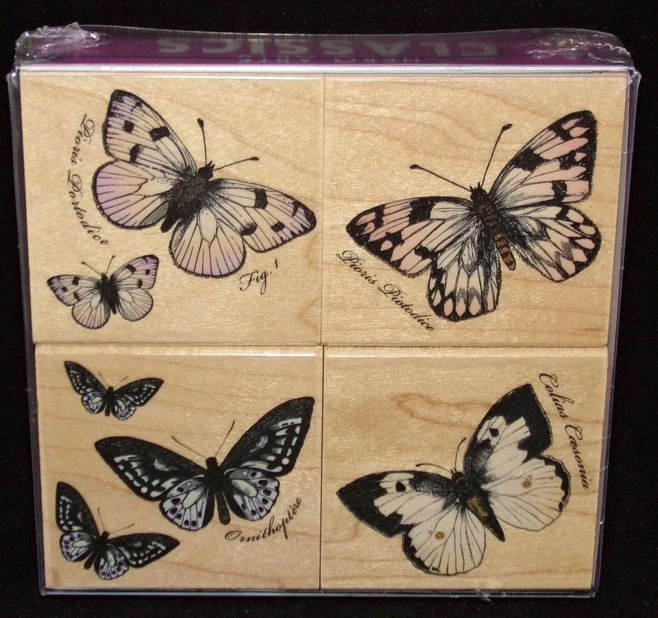 Hero Arts Wood Mounted Rubber Stamp Set Blossom Etchings LL754