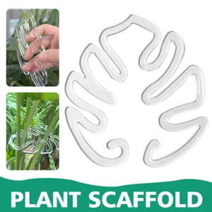 3Pcs Plant Stem Support Climbing Houseplant Support Stakes for Indoor Plants - Picture 1 of 17