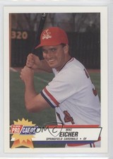 1993 Fleer ProCards Minor League Mike Eicher #1862