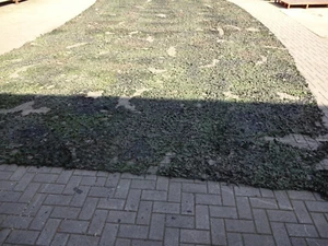 Original Bundeswehr Tarnnetz 10 x 10m BW Netz Tarnung Jacht Sichtschutz Sonnensc - Bild 1 von 39