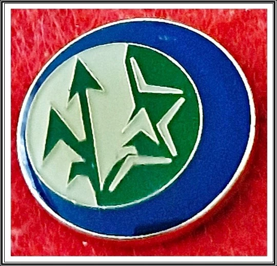 Israel IDF Intelligence Corps Logistics Unit 222 lapel pin badge - Image 1 of 1