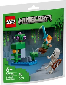 LEGO® Minecraft 30705 Showdown in der Üppigen Höhle | Neu | OVP - Bild 1 von 3