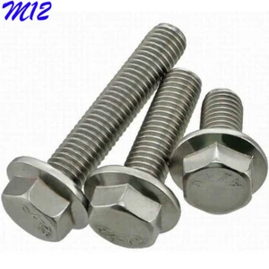 Tornillos hexagonales de brida hexagonal serrada de acero inoxidable M12 - 1.75 304 - Imagen 1 de 12