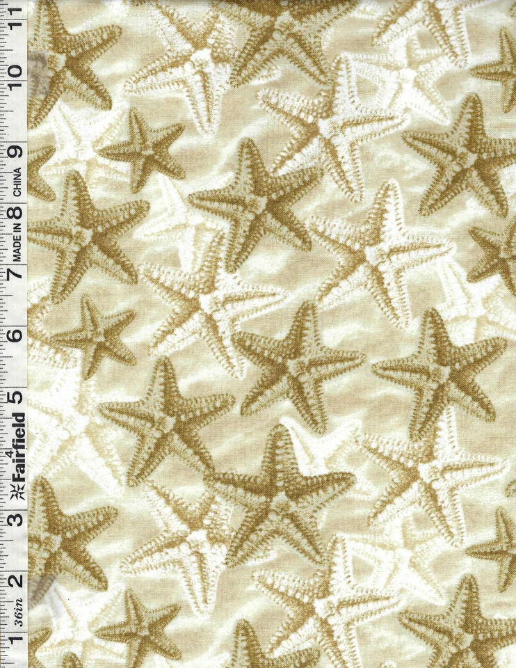 Estrella de mar natural en la arena de Timeless Treasures por parte Foto 1 de 1