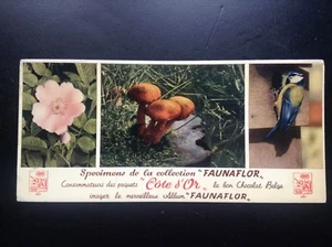 Buvard Faunaflor Cote d'or Chocolats - Bild 1 von 1
