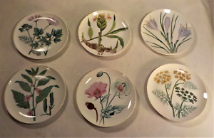Vintage Set of 6 HORCHOW Herb Seed Botanical Plates Lunch Salad 7-3/4" JAPAN