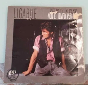 LIGABUE - FIGLIO D'UN CANE NON E' TEMPO PER NOI (PROMO) LP - Picture 1 of 1