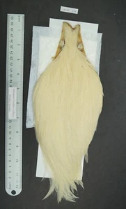 Commercial Keough Natural Cream Neck Lot-SF 159 - Picture 1 of 7