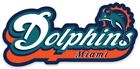 Miami Dolphins Logo Type with Dolphin NFL Die-Cut MAGNET