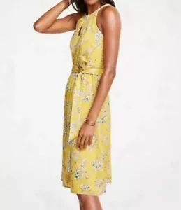 Nuevo con etiquetas Vestido Ann Taylor Amarillo Floral Toile Cuello Halter Talla 6 - Imagen 1 de 5