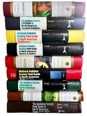 Lot of 9~NATIONAL AUDUBON SOCIETY FIELD GUIDE ~Mushrooms/Sea/Insects/Trees/Birds - Image 1 of 3