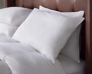 Ritz-Carlton Hotel Down & Feather Queen Pillow - Picture 1 of 3