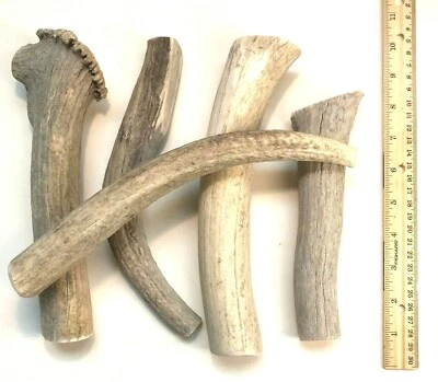 HIGH COUNTRY ANTLERS BEST VALUE! 2 POUNDS of Seasoned Deer & Elk- Whole Antler Dog Chews - Jumbo & XL