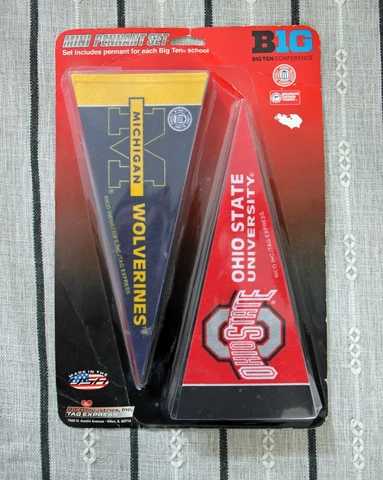Big 10 Conference Mini Pennant Set ~ 4x9 Cover