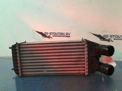 INTERCOOLER Peugeot 2008 (CU) 2015 CW966003 - Imagem 1 de 4