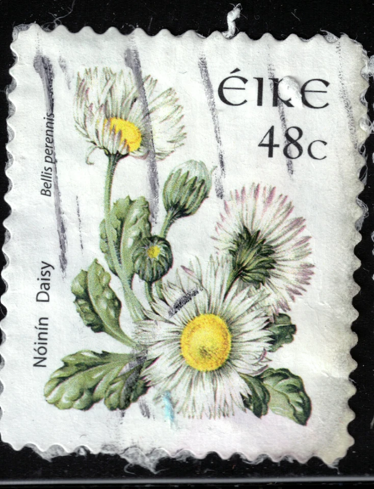 Ireland - 2004 - 48¢ - Wild Flowers - Bellis perennis - #18085 - Image 1 of 1