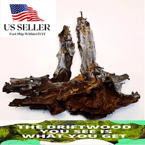 NATURAL MANGROVE DRIFTWOOD #315 WYSIWYG - AQUASCAPING, SUPER PRICE!! DECORATION - Picture 1 of 8