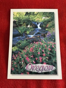 Oregon Postcard Splendor of Oregon's Beauty NEW Unposted - Picture 1 of 3