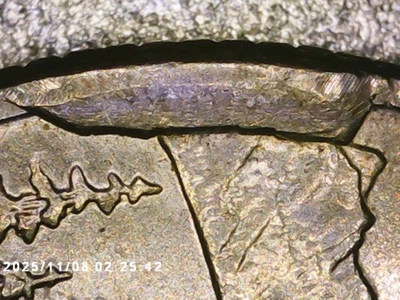 2005 P-Oregon State Quarter Die Cud Reverse Error Coin - Image 1 of 3