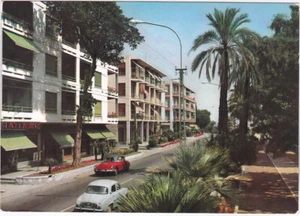 OSPEDALETTI LIGURE - IMPERIA - VIA REGINA MARGHERITA - VIAGG. -81539- - Picture 1 of 1