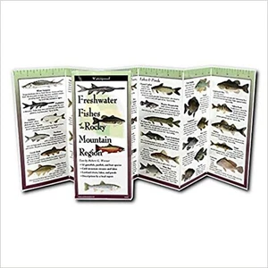 Freshwater Fishes of the Rocky Mountain Region (Foldingguides(tm)) [Paperback... - Imagen 1 de 1