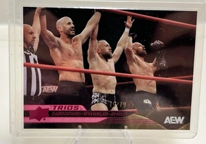 2025 AEW Upper Deck, Castagnoli, Danielson, Moxley Trios, Pink Pyro #/79 - Bild 1 von 3