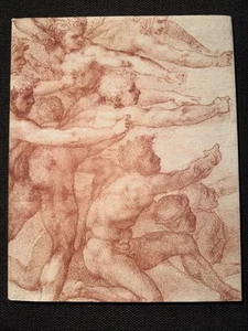 Michelangelo : Divine Draftsman and Designer by Carmen C. Bambach (2017,... - Imagen 1 de 6