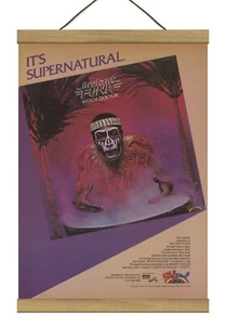 Instant Funk "Hexendoktor" Original Promo Werbung, montiert mit Magnetrahmen! - Bild 1 von 3