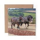 1 x Blank Greeting Card Shire Horses Ploughing Working Farm Horse #53412