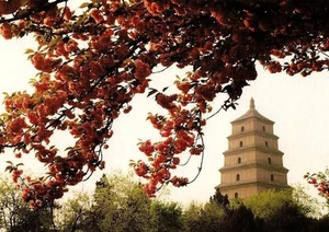 Postcard China Xi'an Shaanxi "Giant Wild Goose Pagoda" 7thC Unesco WHS Site MINT - Picture 1 of 1