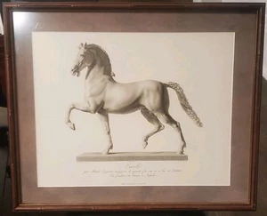 Impresión enmarcada un grabado titulado Cavallo" después del Caballo Colosal de Antonio Canova  - Imagen 1 de 5