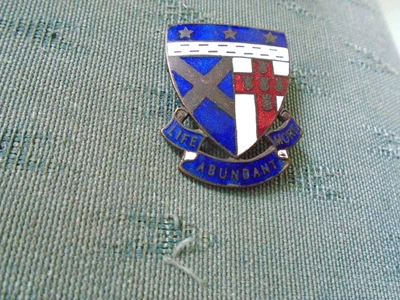 RARE VINTAGE ST ANDREWS HIGH SCHOOL FOR GIRLS JAMAICA - ENAMEL PIN BADGE - Image 1 of 2