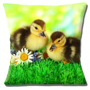 Goslings Entenküken Kissenbezug Geschenk niedliche Tiere quadratischgrün 16 Zoll 40 cm - Bild 1 von 3